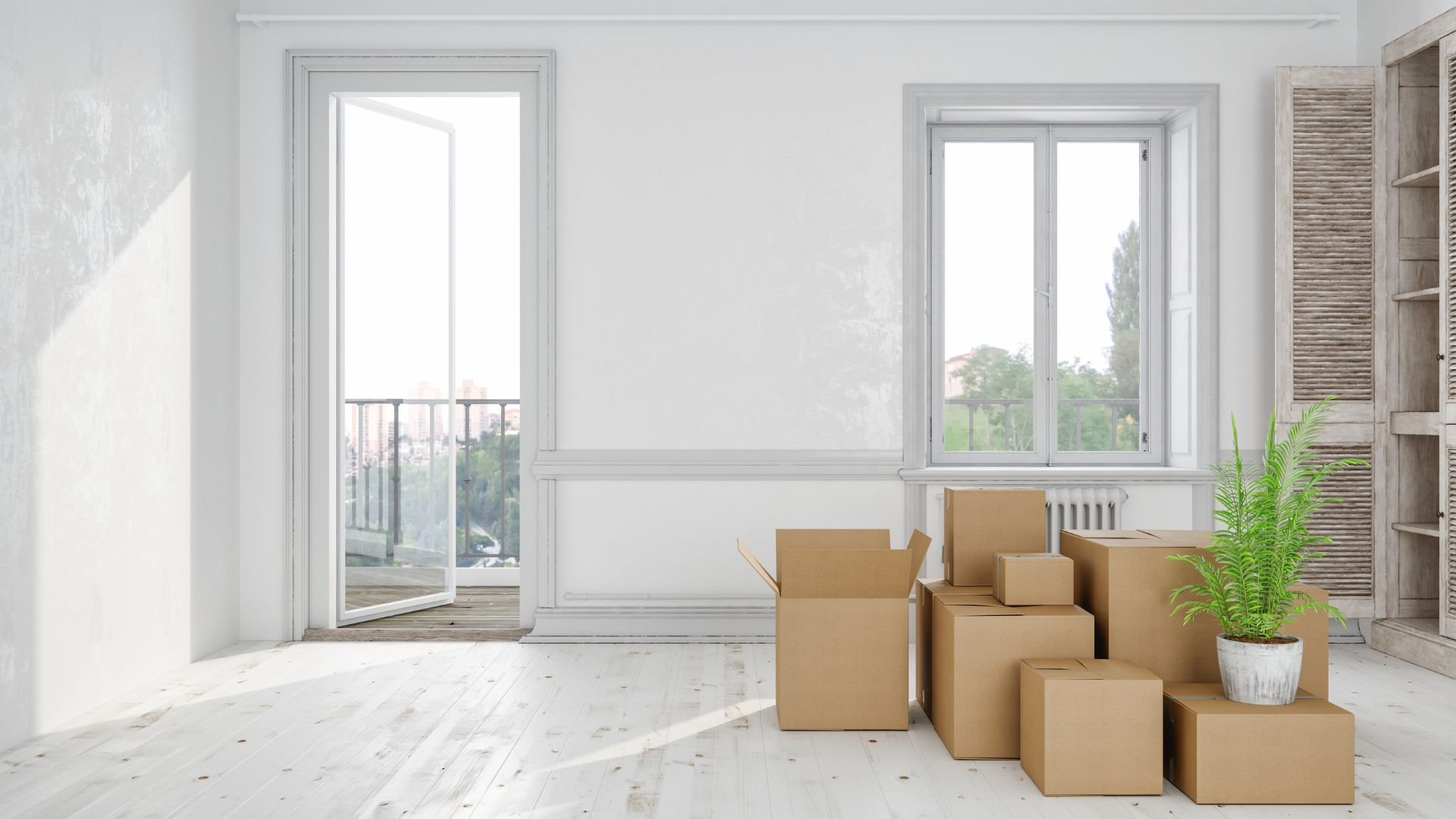 Empty white room with moving boxes and plant near bright windows